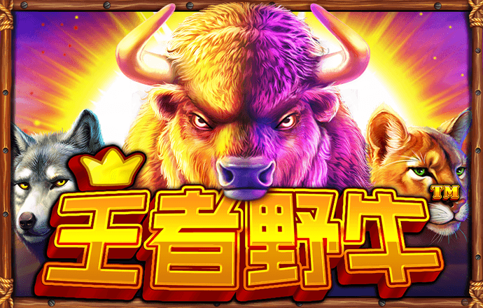 42982金牛网金牛版